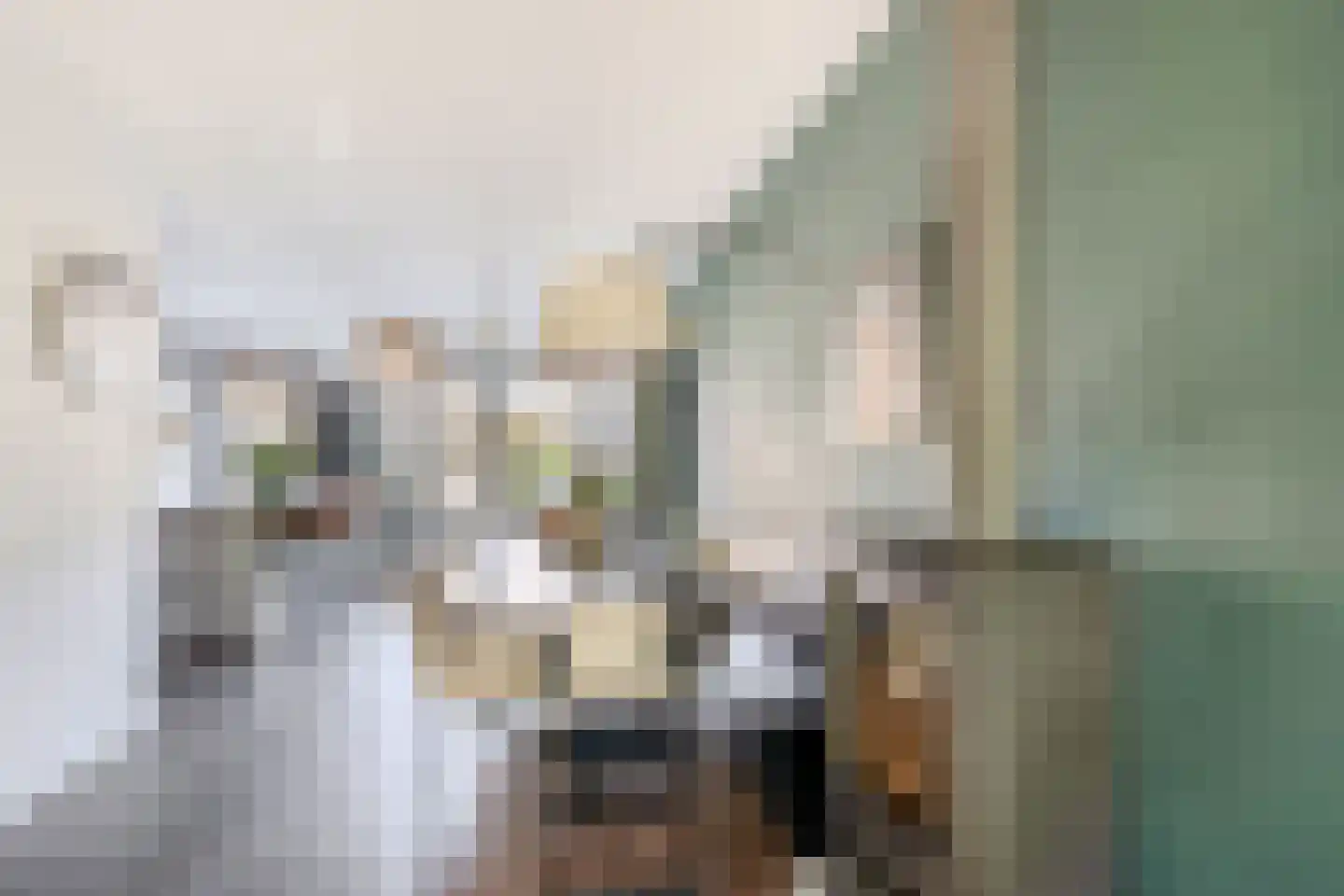Wiekslag 8 Moerkapelle thumbnail 10
