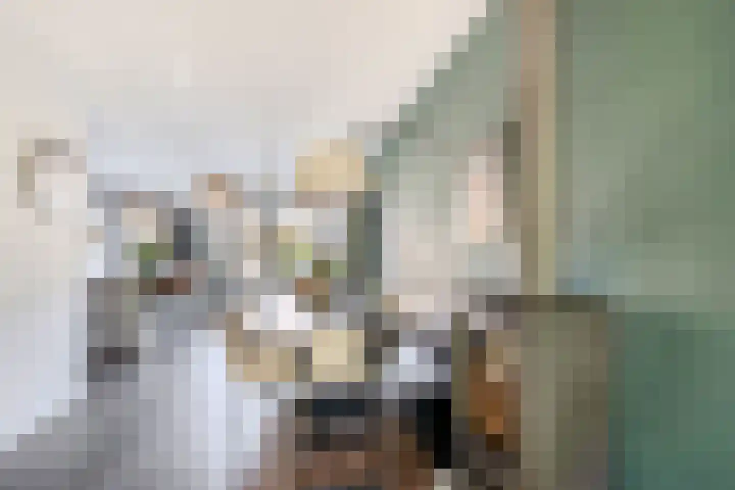 Wiekslag 8 Moerkapelle thumbnail 12