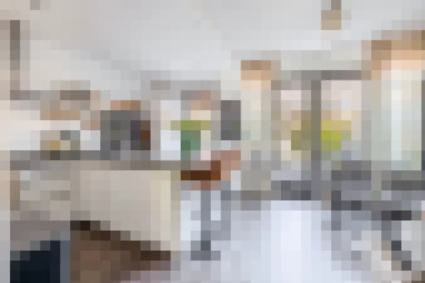 Wiekslag 8 Moerkapelle thumbnail 14
