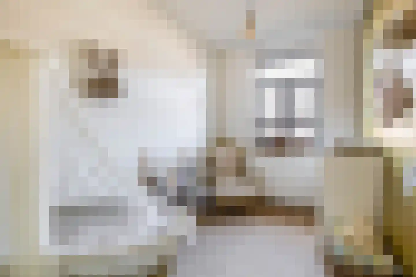 Wiekslag 8 Moerkapelle thumbnail 21