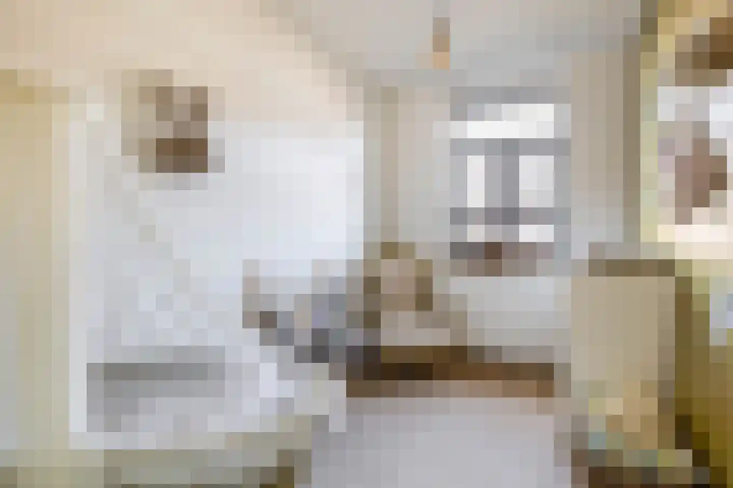 Wiekslag 8 Moerkapelle thumbnail 22