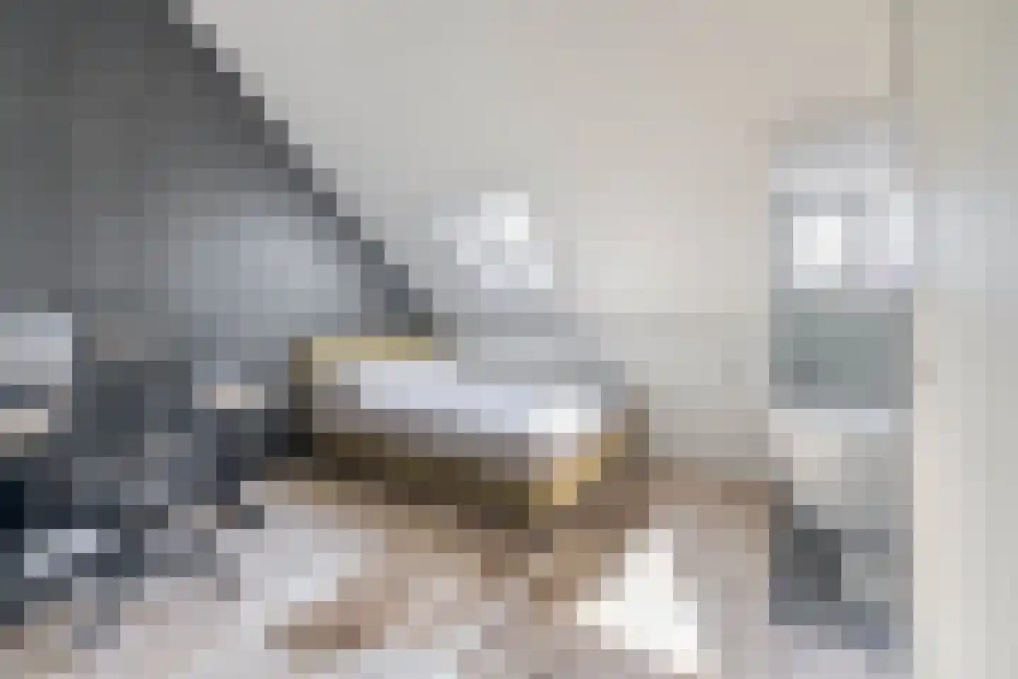 Wiekslag 8 Moerkapelle thumbnail 24