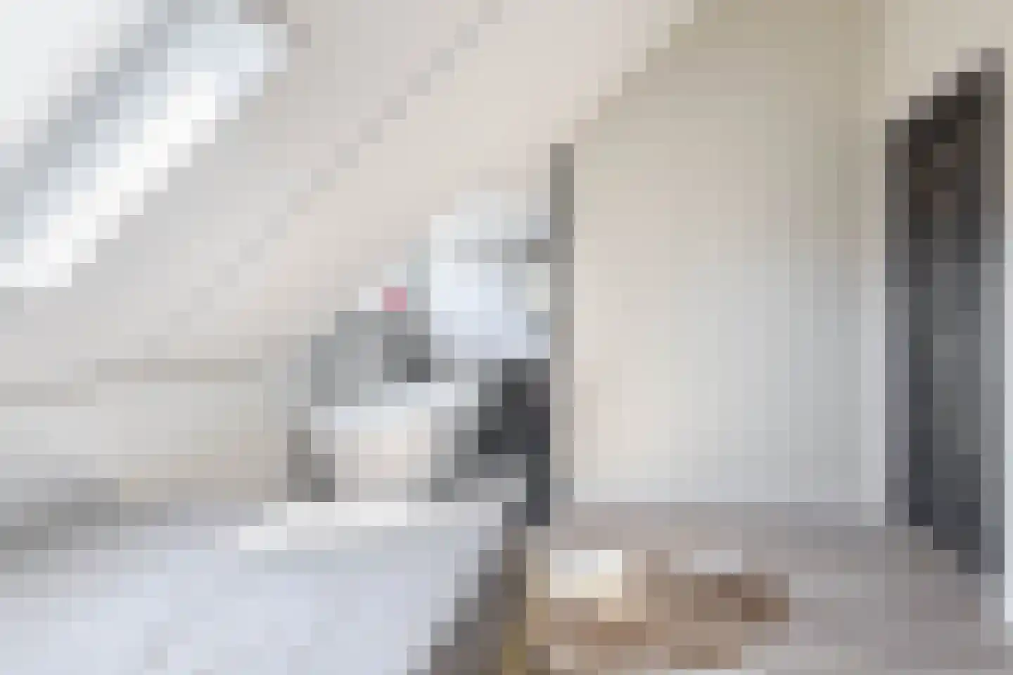 Wiekslag 8 Moerkapelle thumbnail 25