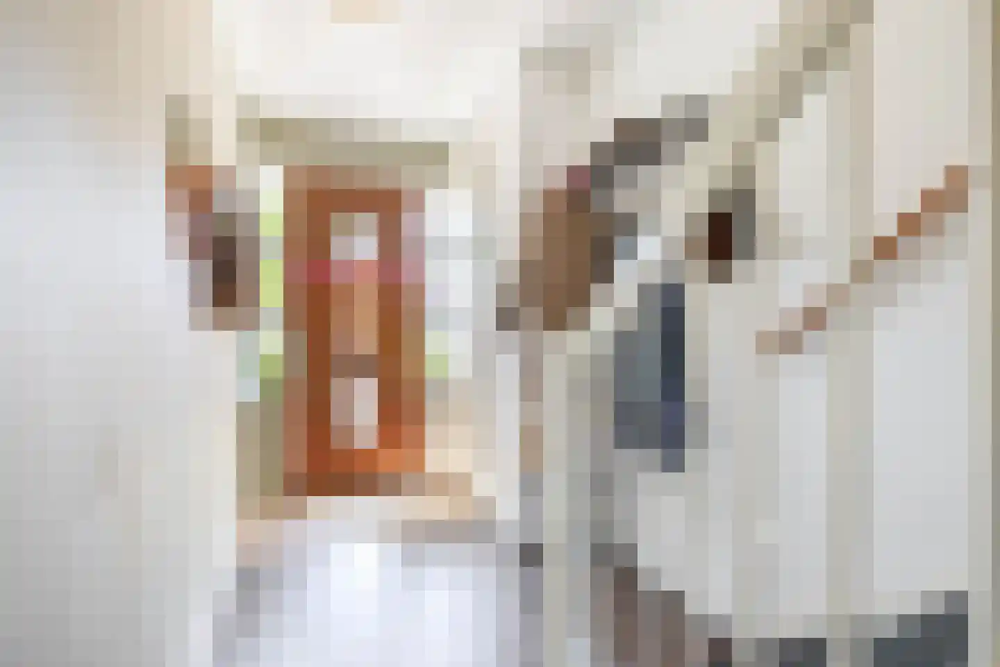 Wiekslag 8 Moerkapelle thumbnail 6