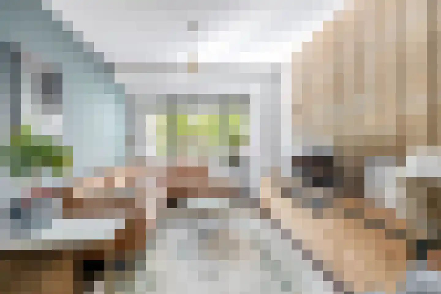 Wiekslag 8 Moerkapelle thumbnail 8