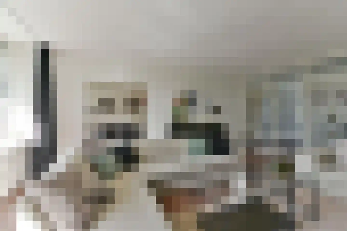 Wiekslag 83 Amersfoort thumbnail 12