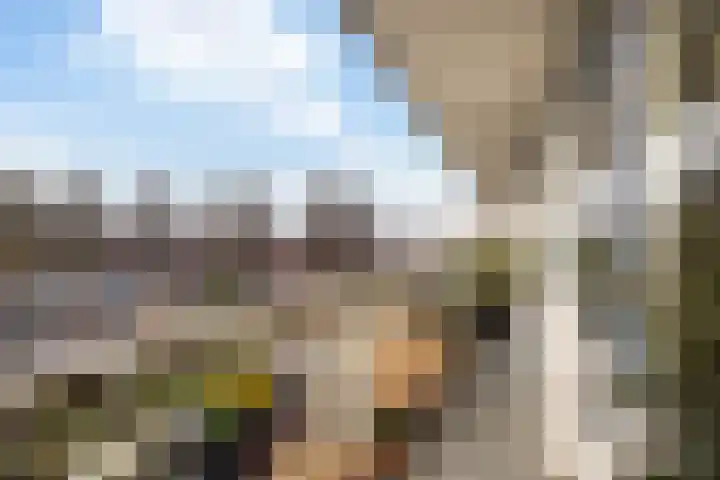 Wiekslag 85 Amersfoort thumbnail 13