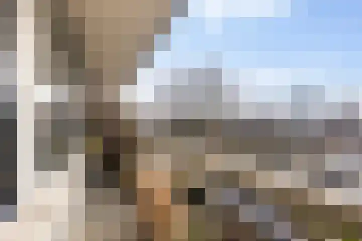 Wiekslag 85 Amersfoort thumbnail 14
