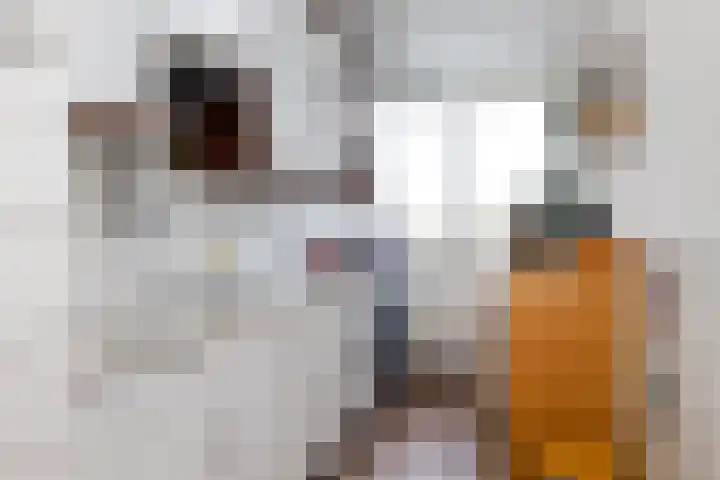 Wiekslag 85 Amersfoort thumbnail 16