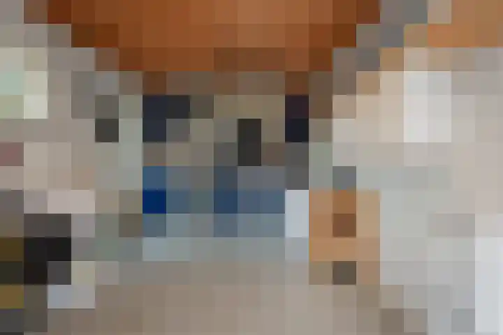 Wiekslag 85 Amersfoort thumbnail 18
