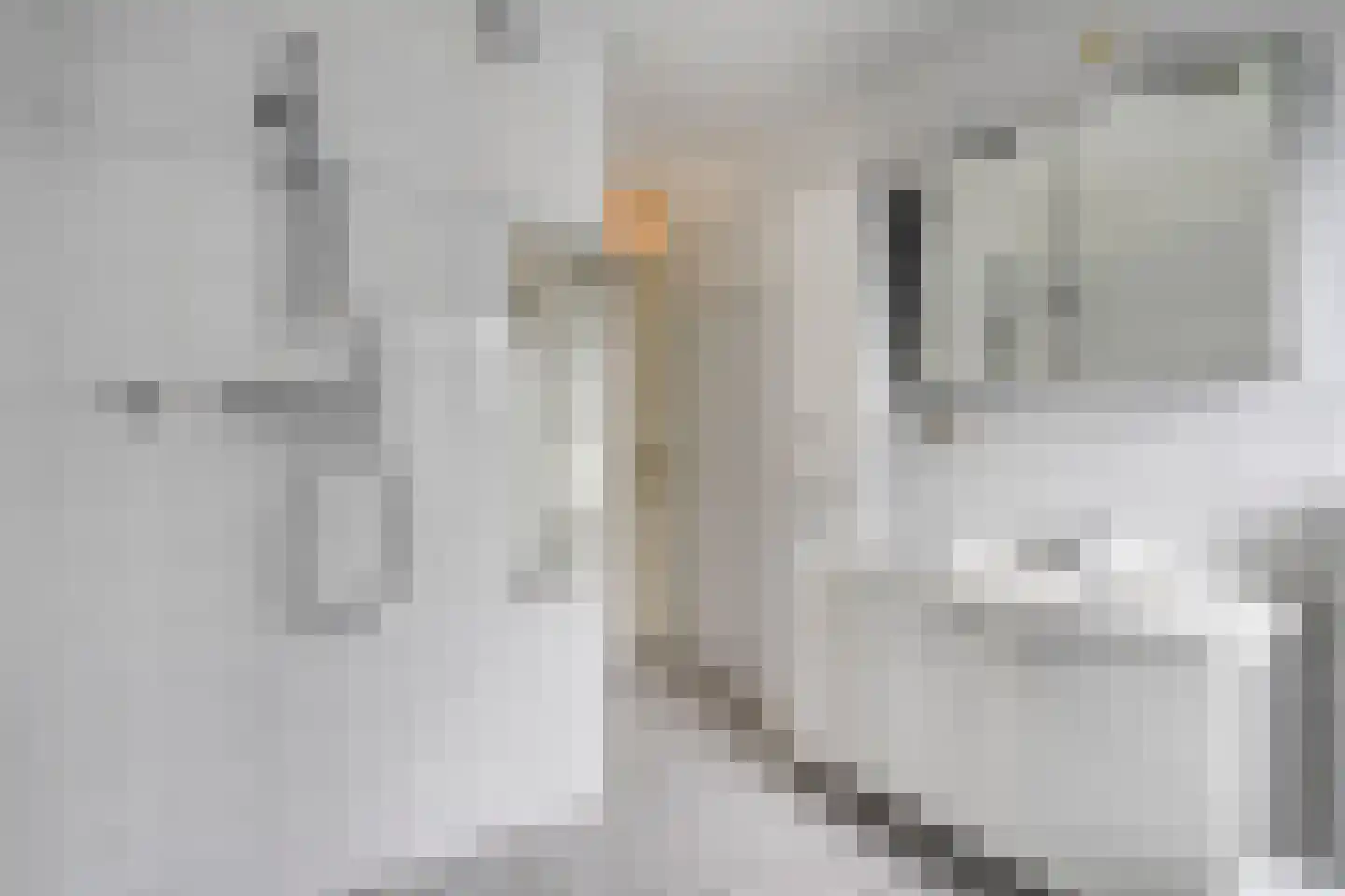 Wiekslagen 30 Almelo thumbnail 20