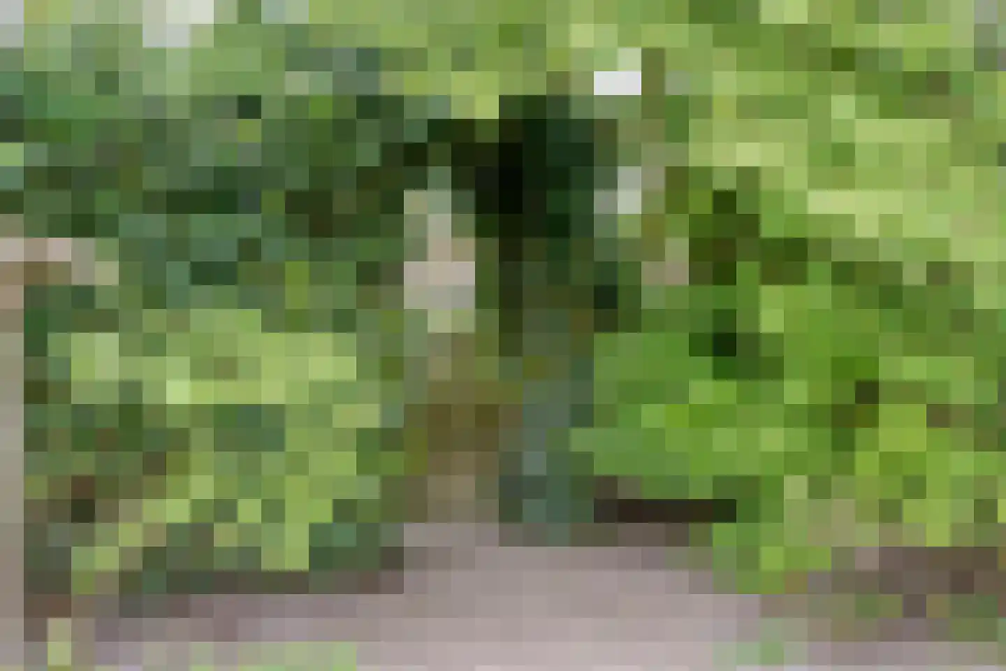 Wiekslagen 30 Almelo thumbnail 36