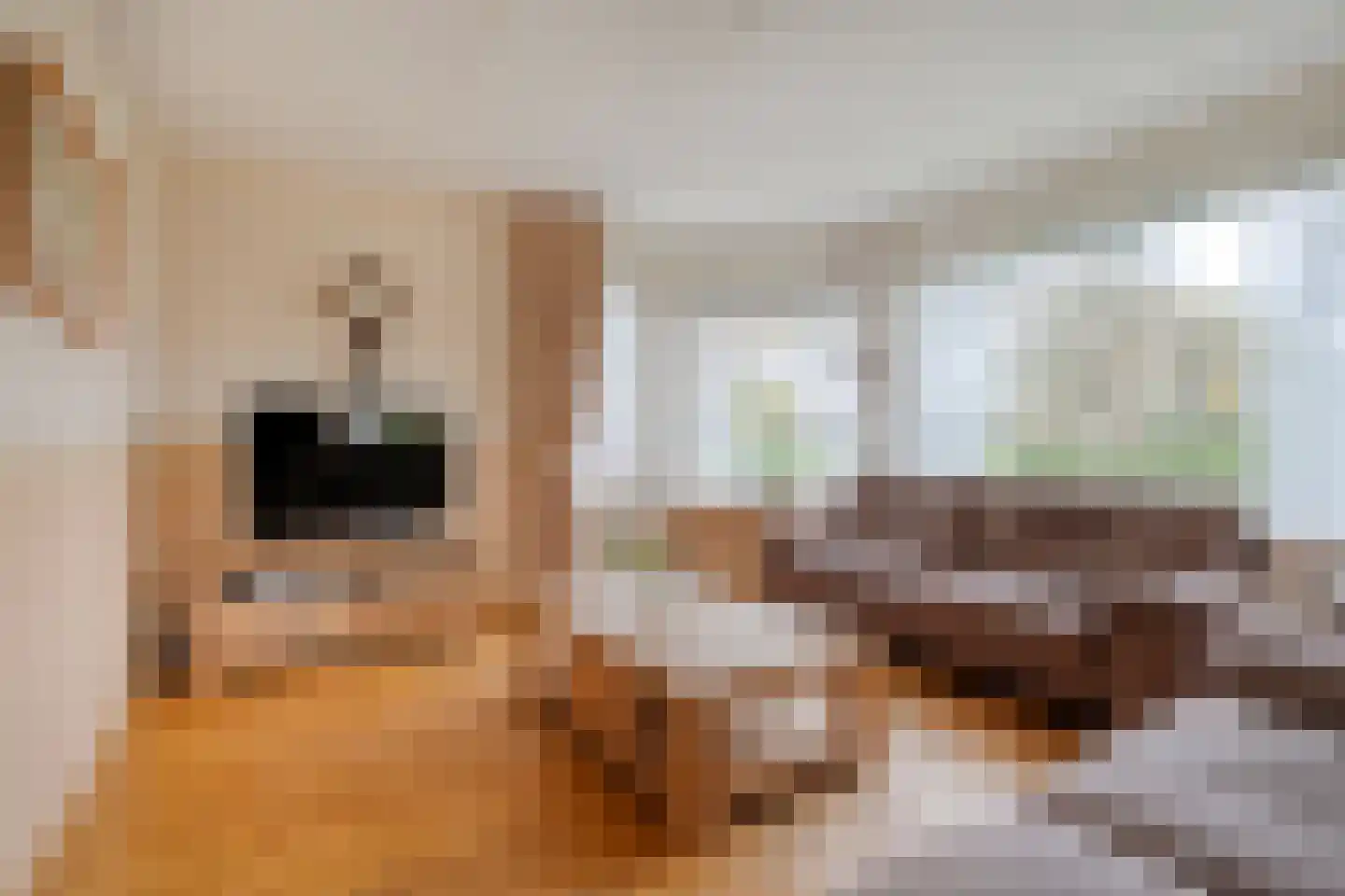 Wiekslagen 30 Almelo thumbnail 5