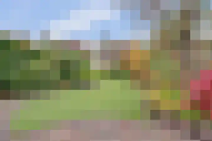 Wiekslagen 38 Almelo thumbnail 34
