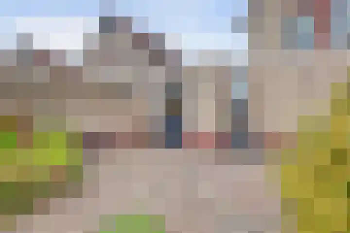 Wiekslagen 38 Almelo thumbnail 37