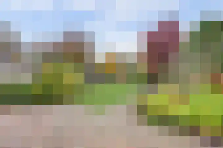 Wiekslagen 38 Almelo thumbnail 39