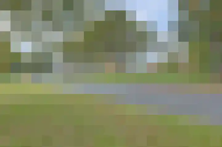 Wiekslagen 38 Almelo thumbnail 44