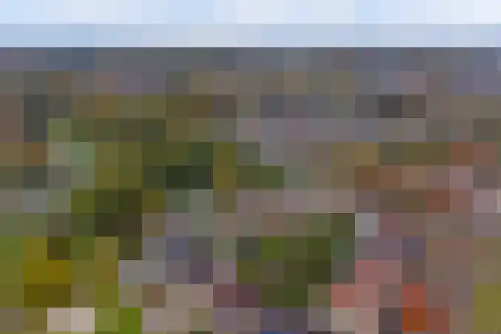 Wiekslagen 38 Almelo thumbnail 46