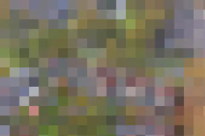 Wiekslagen 38 Almelo thumbnail 47