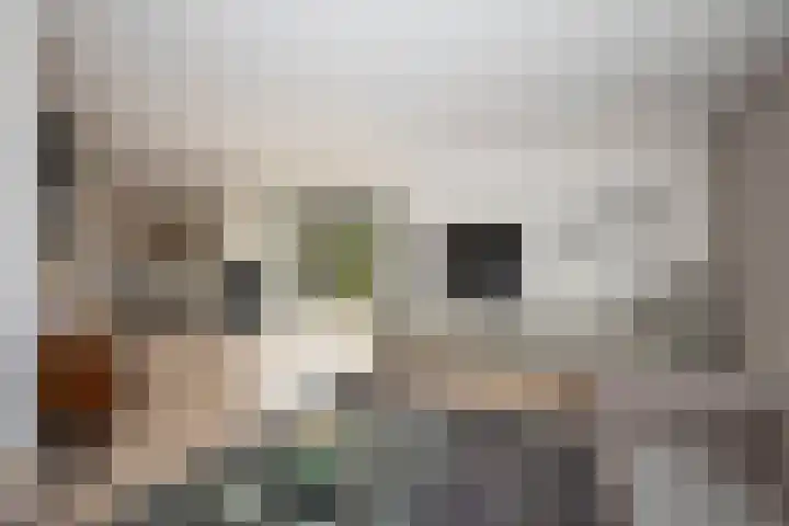 Wiekslagen 40 Almelo thumbnail 10