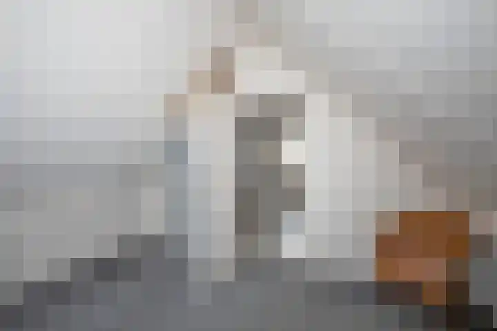 Wiekslagen 40 Almelo thumbnail 32