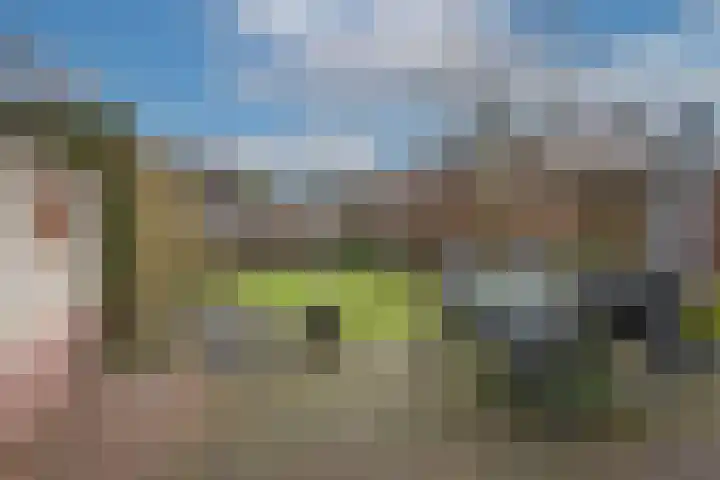 Wiekslagen 40 Almelo thumbnail 33