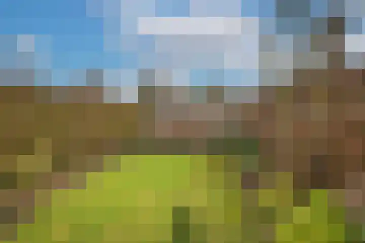 Wiekslagen 40 Almelo thumbnail 34
