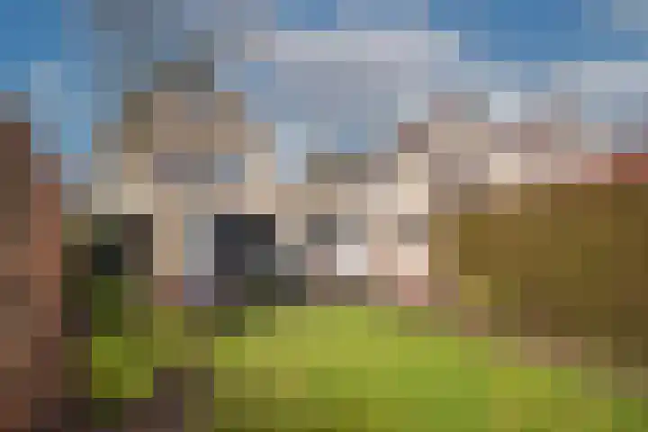 Wiekslagen 40 Almelo thumbnail 35