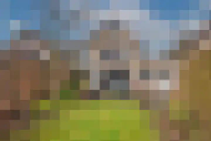 Wiekslagen 40 Almelo thumbnail 36