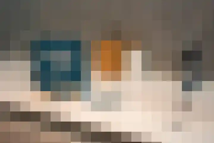 Wiekslagen 40 Almelo thumbnail 4