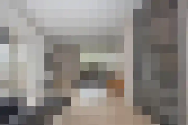 Wiekslagen 40 Almelo thumbnail 7