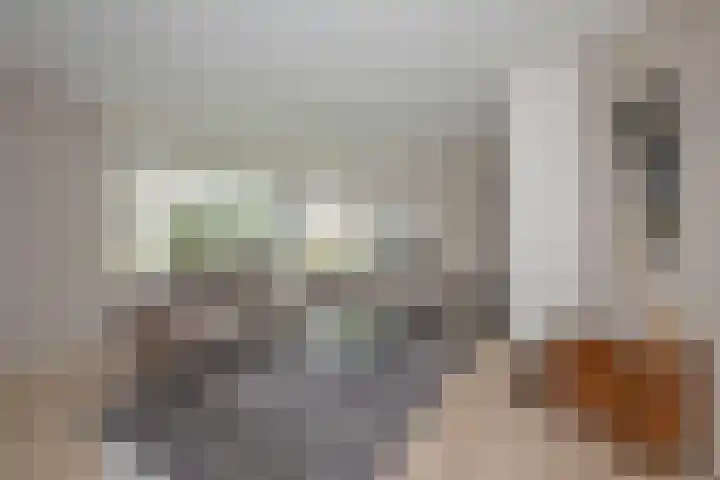 Wiekslagen 40 Almelo thumbnail 8
