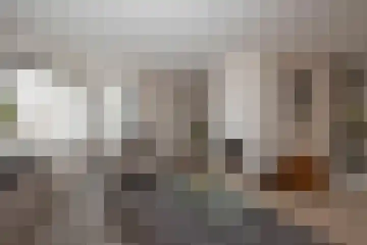 Wiekslagen 40 Almelo thumbnail 9