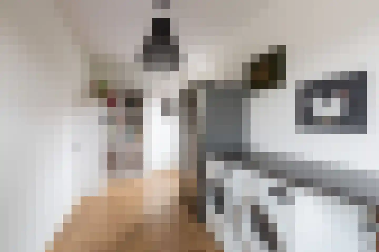 Wieksloterweg WZ 37 D Soest thumbnail 15