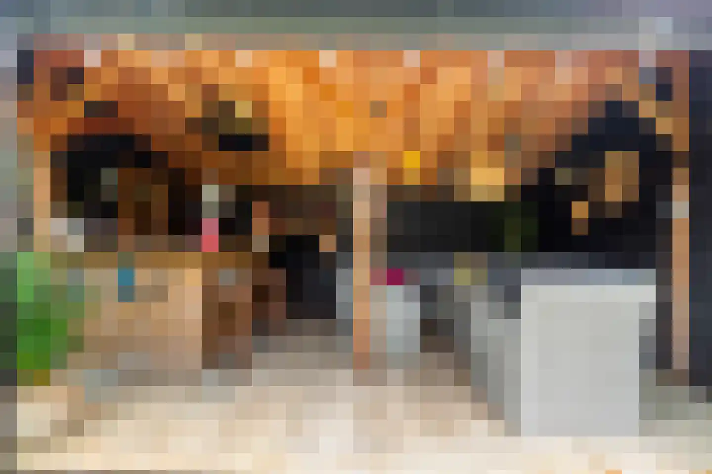 Wieksloterweg WZ 37 D Soest thumbnail 22