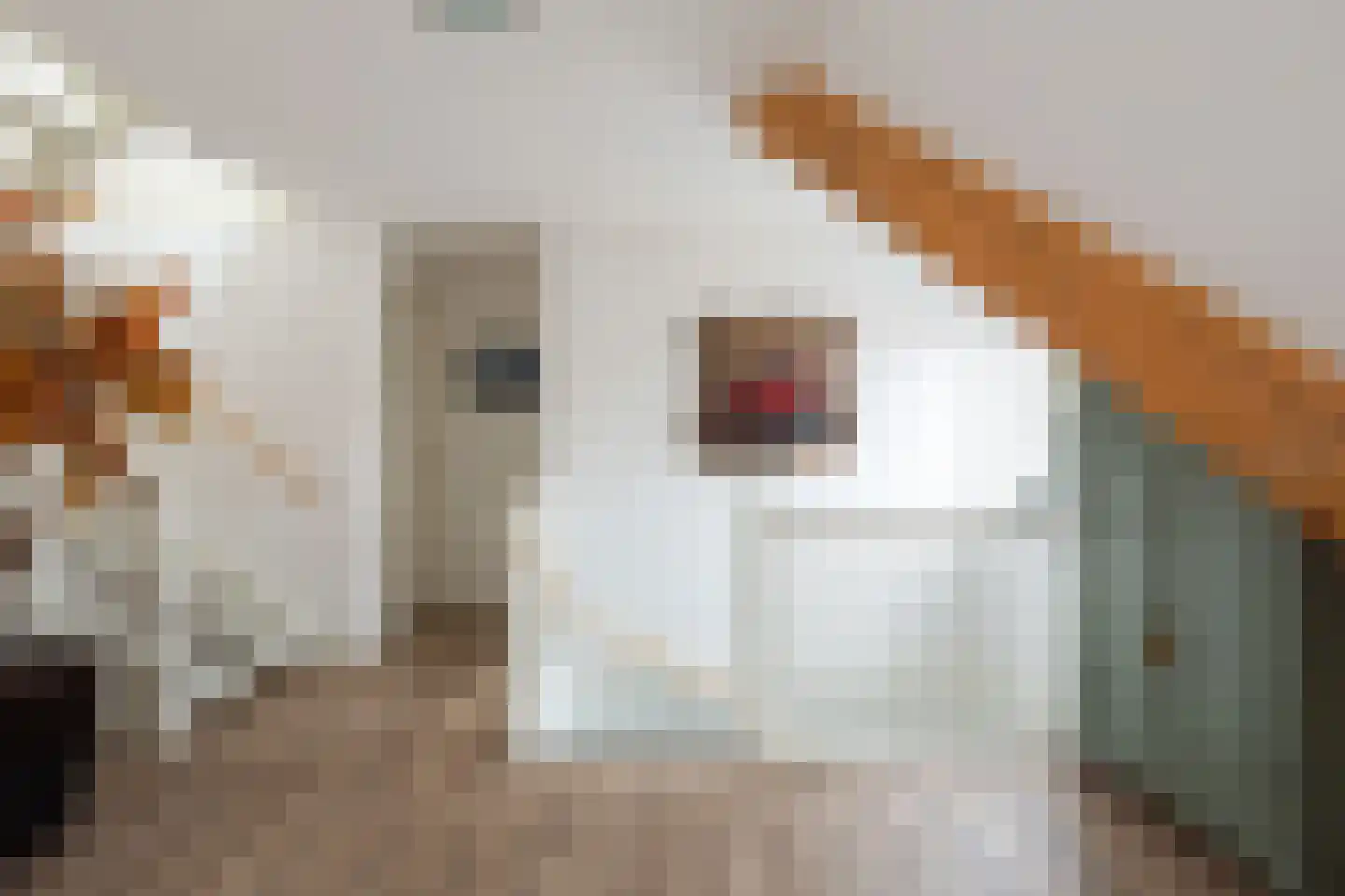 Wieksloterweg WZ 37 D Soest thumbnail 26