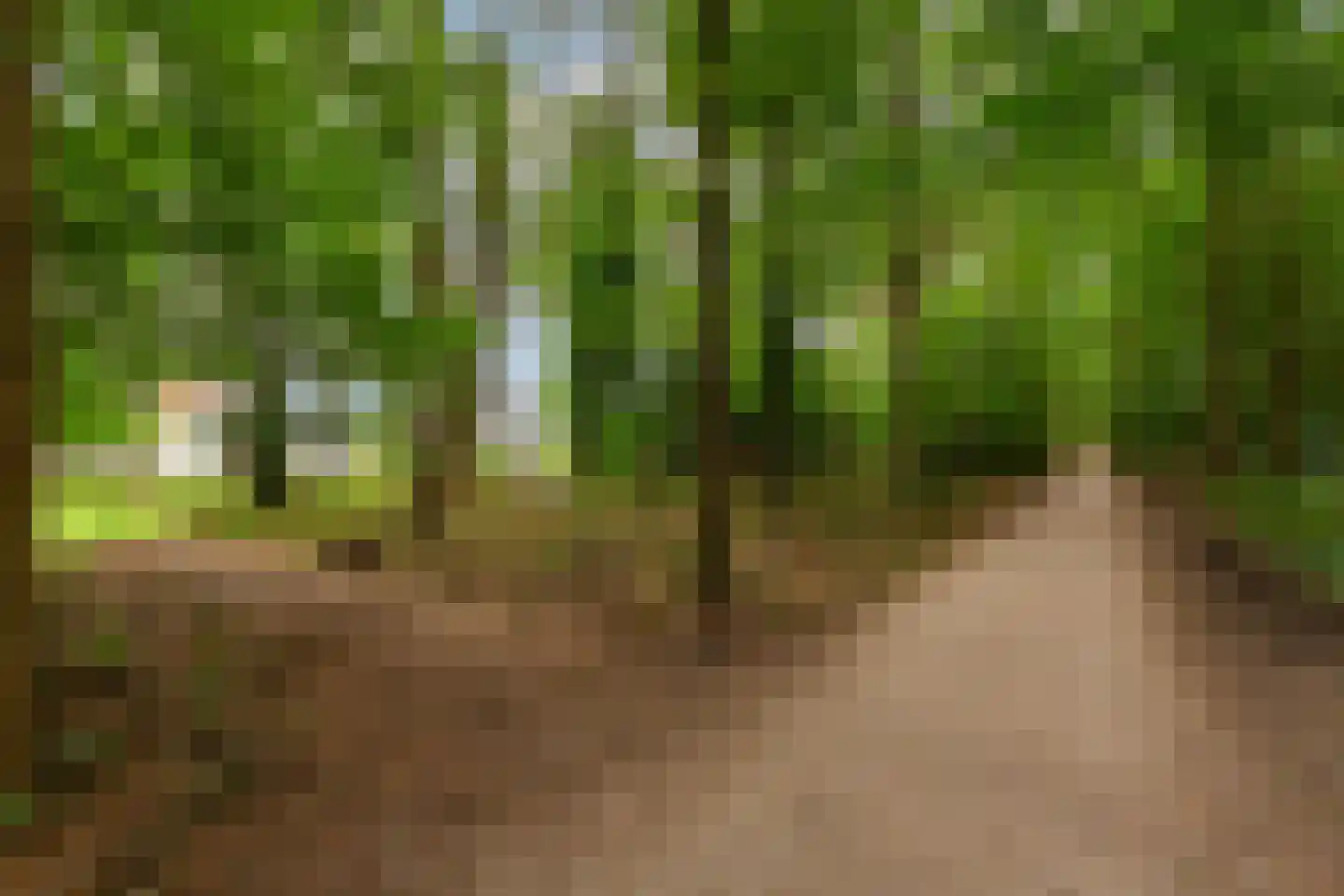 Wieksloterweg WZ 37 D Soest thumbnail 35