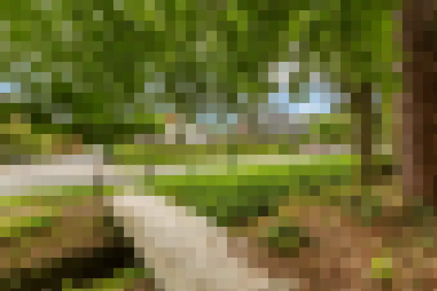 Wieksloterweg WZ 37 D Soest thumbnail 36