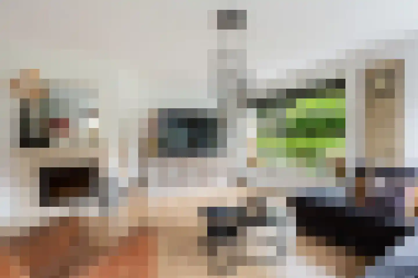 Wieksloterweg WZ 37 D Soest thumbnail 6