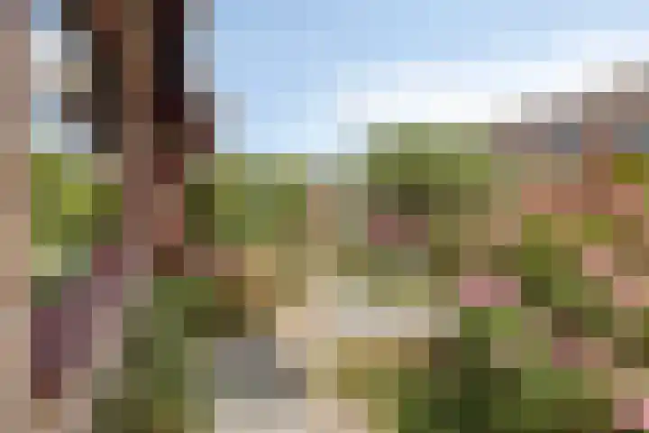 Wiekstraat 12 Stompetoren thumbnail 10