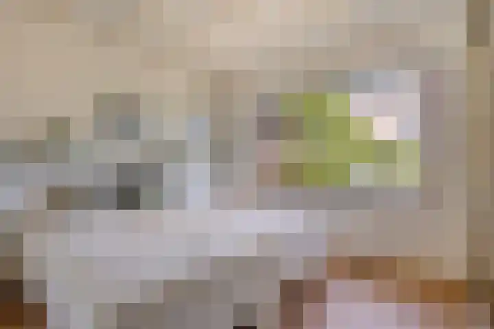 Wiekstraat 12 Stompetoren thumbnail 24
