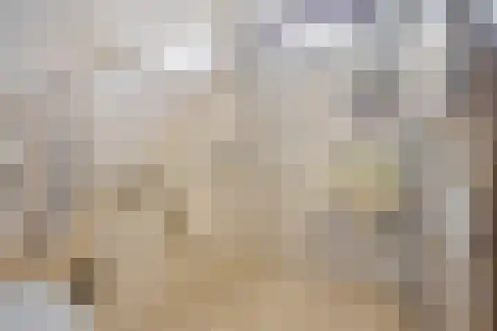 Wiekstraat 12 Stompetoren thumbnail 26