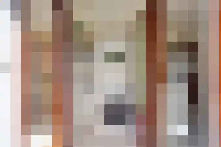 Wiekstraat 12 Stompetoren thumbnail 29
