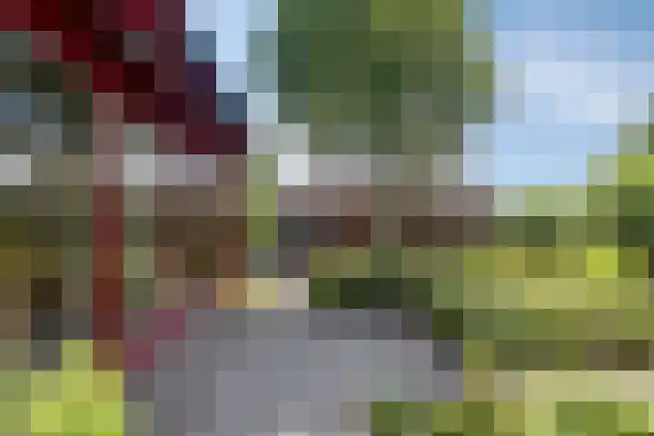 Wiekstraat 12 Stompetoren thumbnail 41