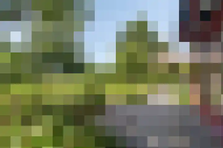 Wiekstraat 12 Stompetoren thumbnail 42