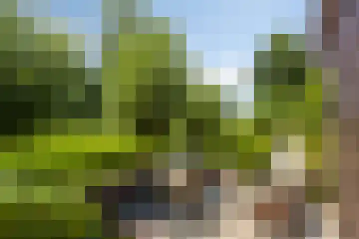 Wiekstraat 12 Stompetoren thumbnail 43