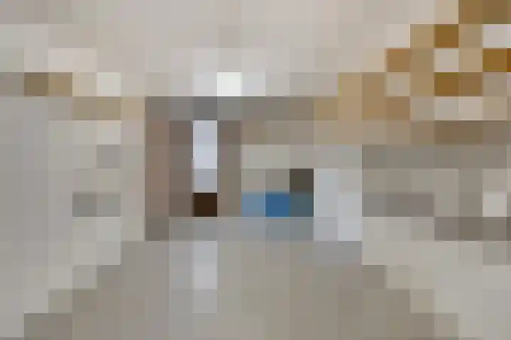 Wiekstraat 12 Stompetoren thumbnail 46