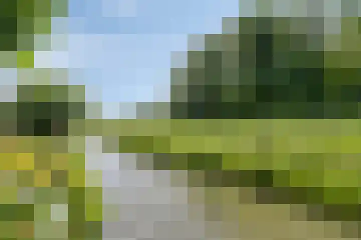 Wiekstraat 12 Stompetoren thumbnail 53