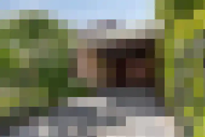 Wiekstraat 12 Stompetoren thumbnail 8