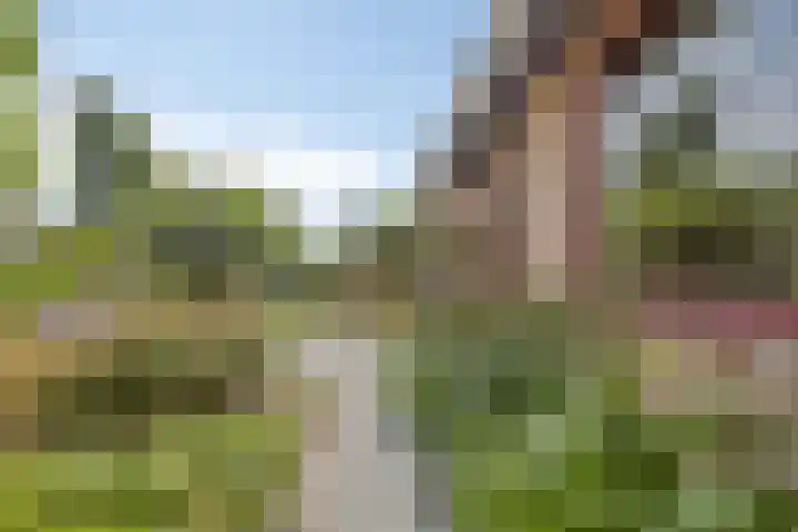 Wiekstraat 12 Stompetoren thumbnail 9